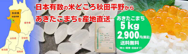 �|�b�g����c�ň�Ă����������܂��ł��B